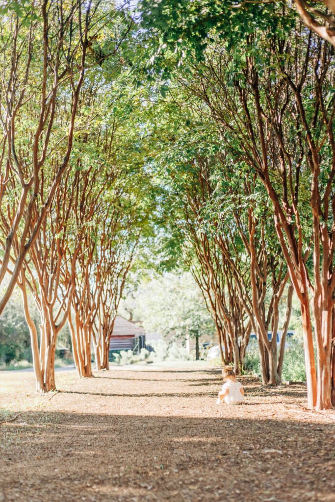 Swenson House Photo Location