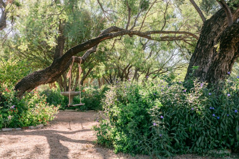 10 Best Photography Locations in Abilene